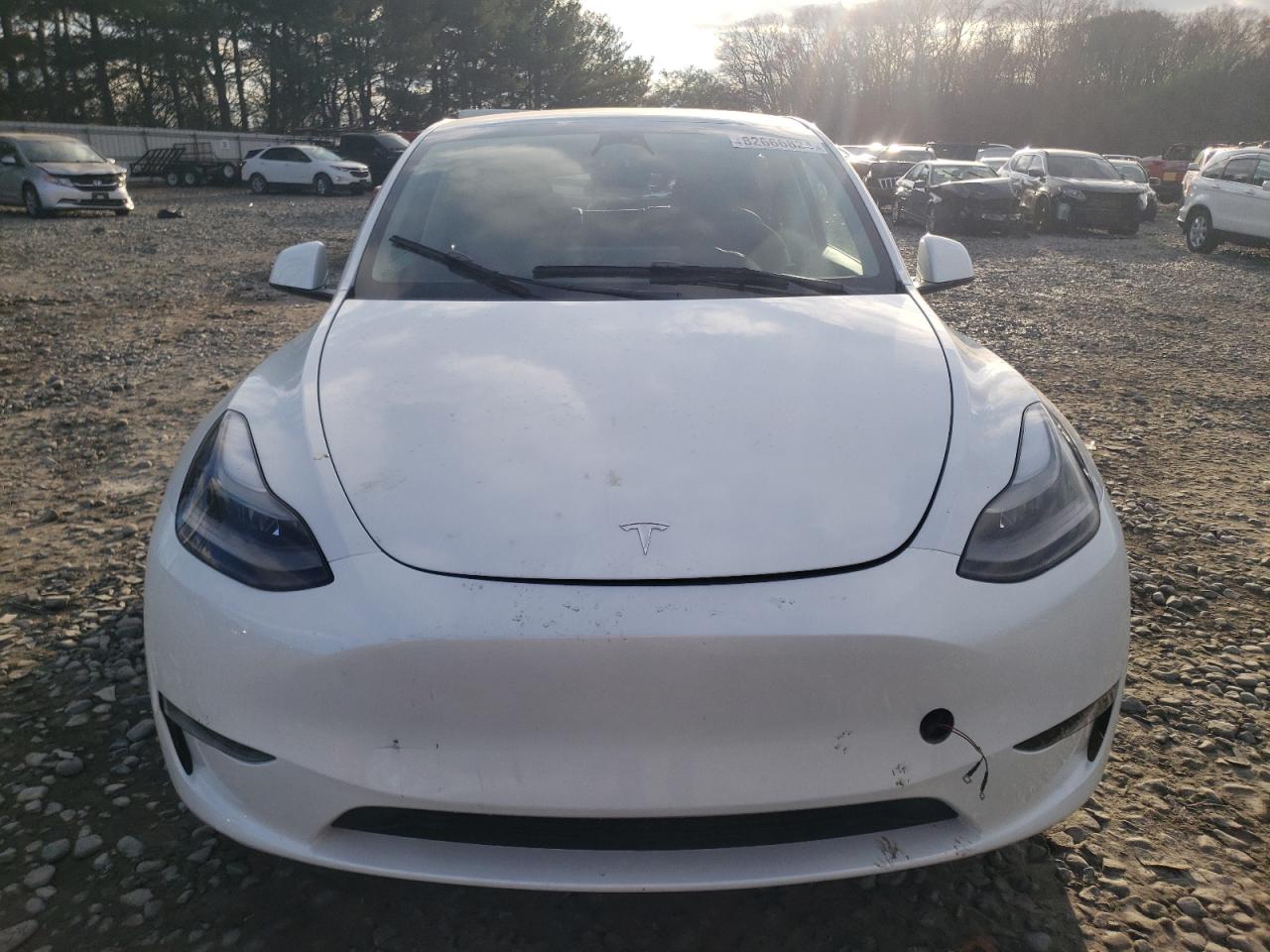 2023 TESLA MODEL Y  VIN:7SAYGAEE7PF749059