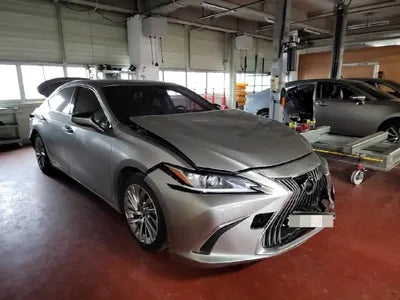 2019 Lexus ES 300 JTHB21B12K2046112 VIN:JTHB21B12K2046112