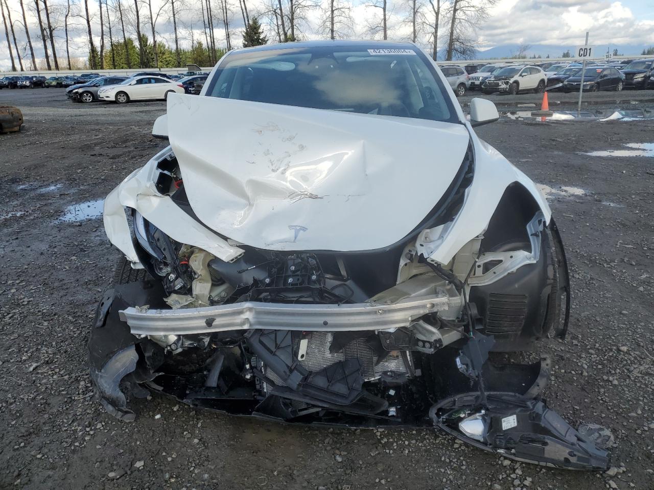 2023 TESLA MODEL Y  VIN:7SAYGDEE9PF782260