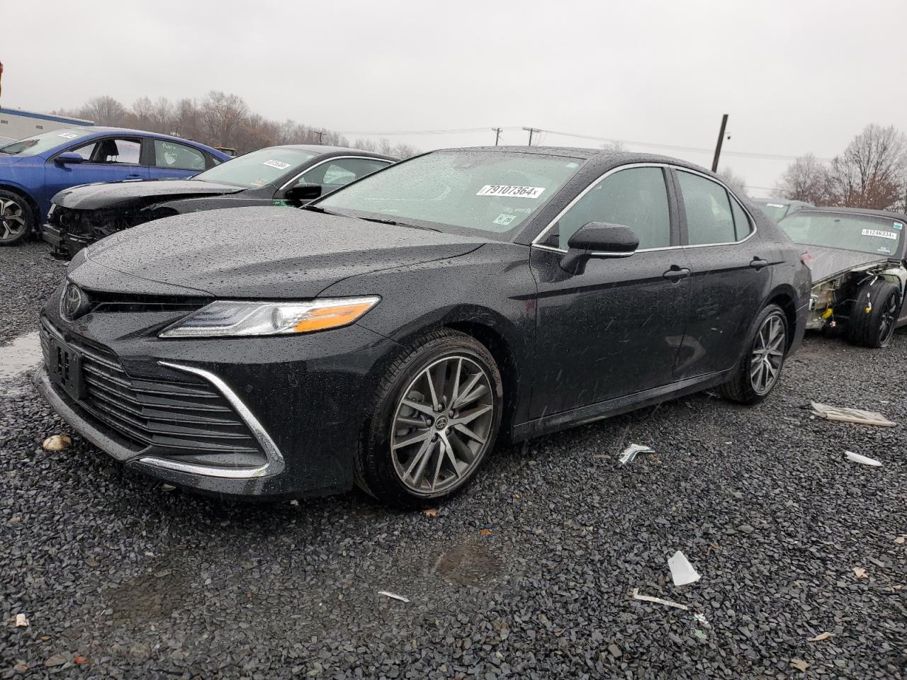 2023 TOYOTA CAMRY XLE VIN:4T1F11AK9PU126241