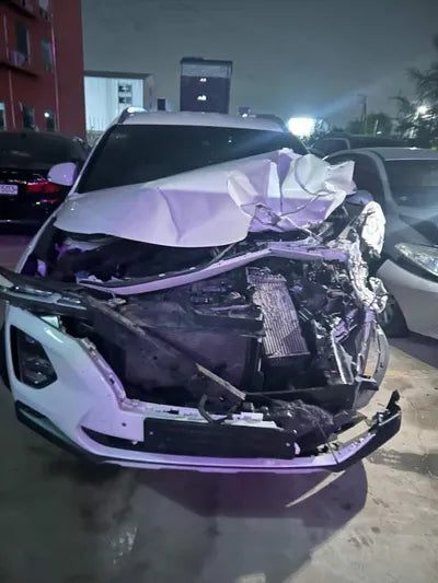 2019 Hyundai Santa FE KMHS281BBLU228038 VIN:KMHS281BBLU228038