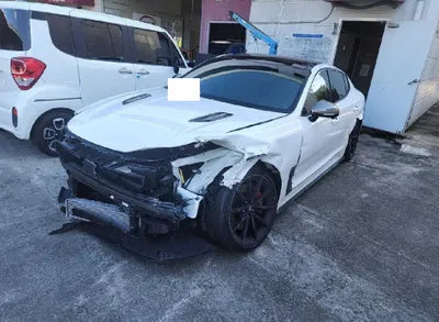 2021 Kia Stinger KNAE551CDMS098940 VIN:KNAE551CDMS098940