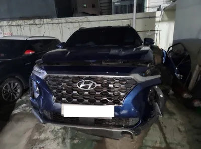 2019 Hyundai Santa FE KMHS381BBKU059206 VIN:KMHS381BBKU059206