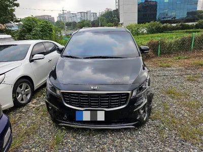 2019 Kia Carnival KNAMB81ABKS591217 VIN:KNAMB81ABKS591217
