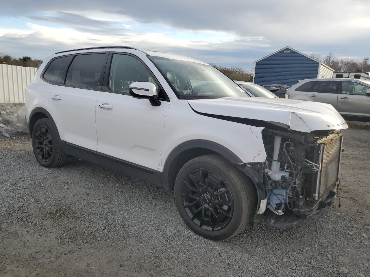2022 KIA TELLURIDE EX VIN:5XYP3DHC3NG252841
