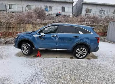 2021 Kia Sorento KNARH81FGMA075279 VIN:KNARH81FGMA075279
