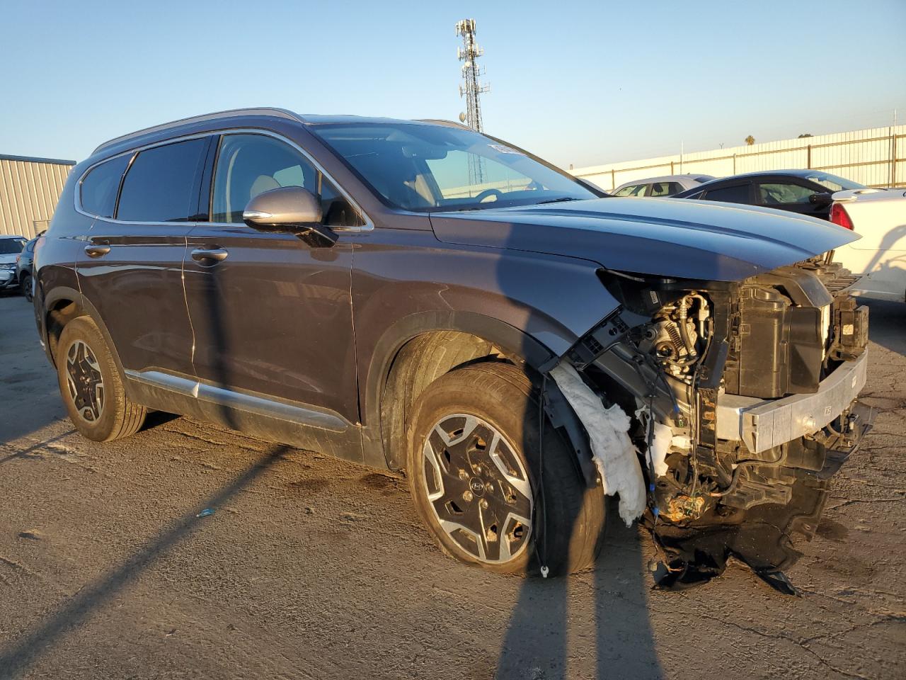 2022 HYUNDAI SANTA FE BLUE VIN:KM8S2DA19NU058959