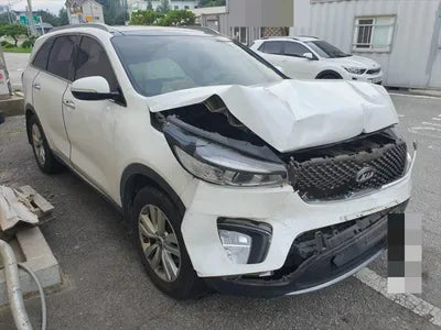 2016 Kia Sorento KNAPS81ADGA254261 VIN:KNAPS81ADGA254261
