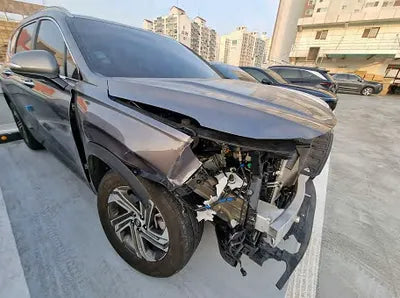 2021 Hyundai Santa FE KMHS381LGMU412456 VIN:KMHS381LGMU412456