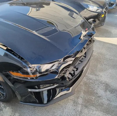 2019 Ford Mustang 1FA6P8TH3K5165641 VIN:1FA6P8TH3K5165641