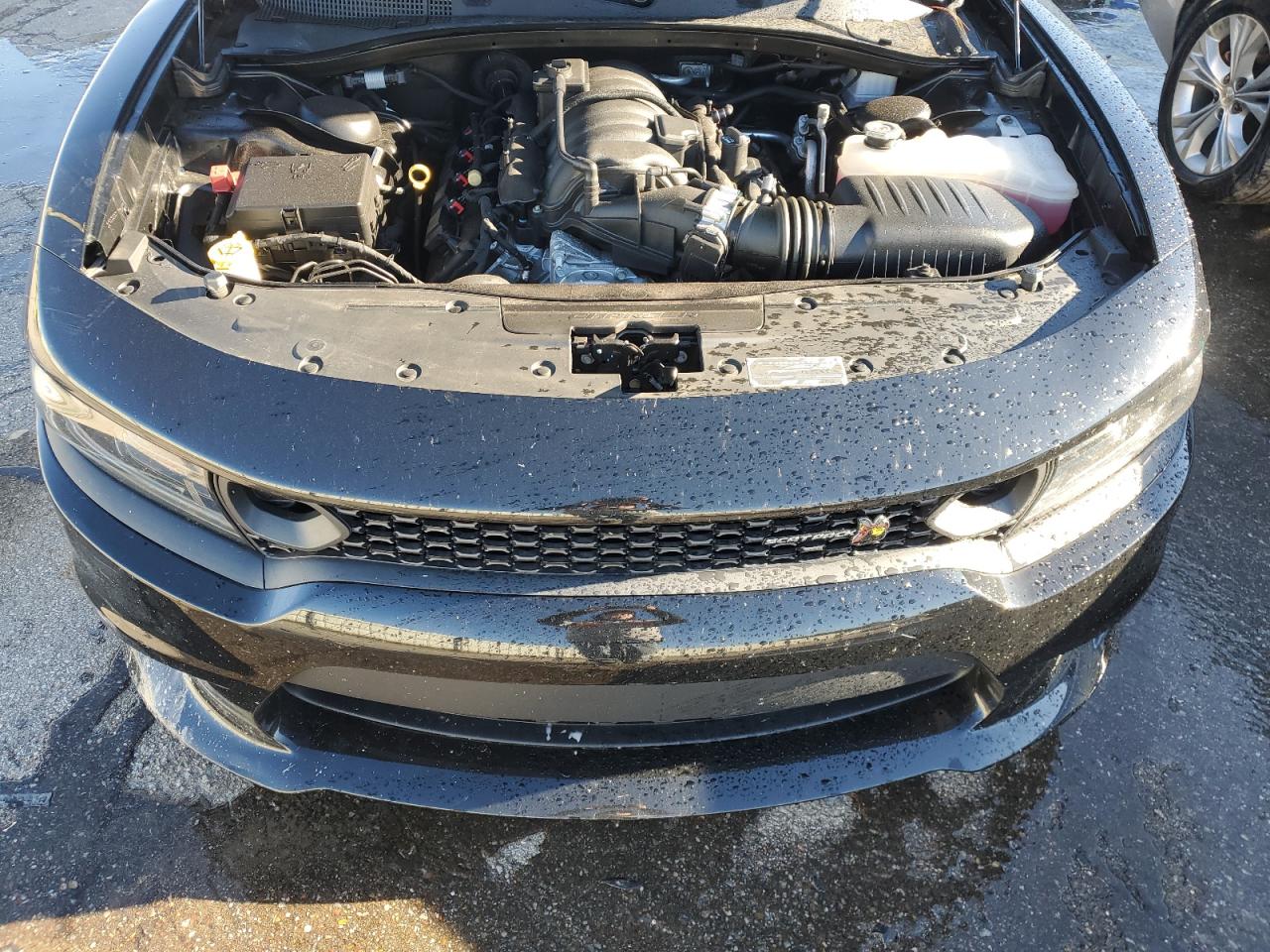 2023 DODGE CHARGER SCAT PACK VIN:2C3CDXGJ1PH555770