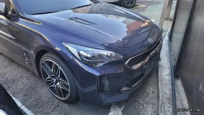 2021 Kia Stinger KNAE551CDMS104692 VIN:KNAE551CDMS104692