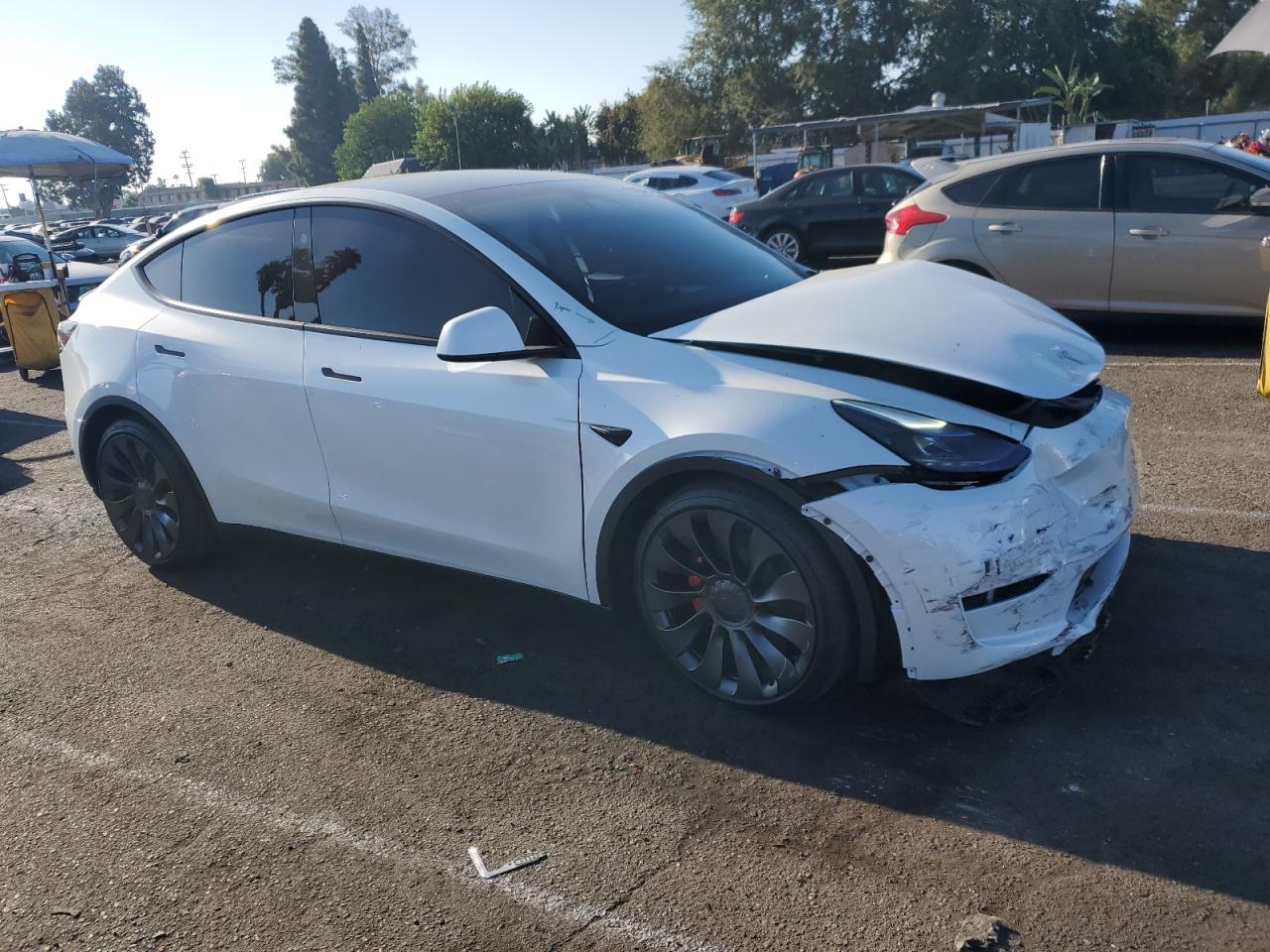 2024 TESLA MODEL Y  VIN:7SAYGDEF6RF133012