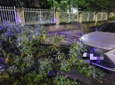 2018 Lexus ES 300 VIN: