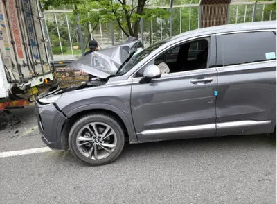 2019 Hyundai Santa FE KMHS581BDKU105058 VIN:KMHS581BDKU105058