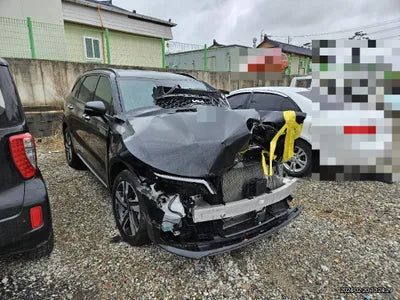 2022 Kia Sorento KNARL81GBNA122306 VIN:KNARL81GBNA122306
