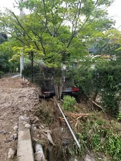 2014 Mercedes-Benz S 500 NONE VIN: