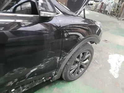 2017 Hyundai Santa FE KMHSW81UBHU769349 VIN:KMHSW81UBHU769349