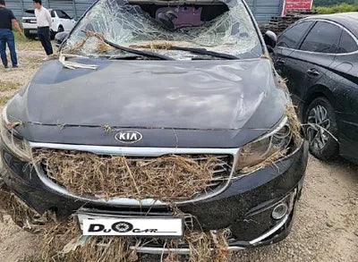 2017 Kia Carnival KNAMC81ABHS281610 VIN:KNAMC81ABHS281610