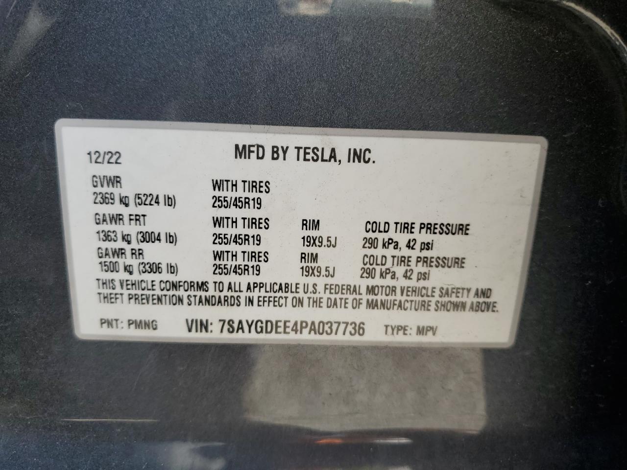 2023 TESLA MODEL Y  VIN:7SAYGDEE4PA037736