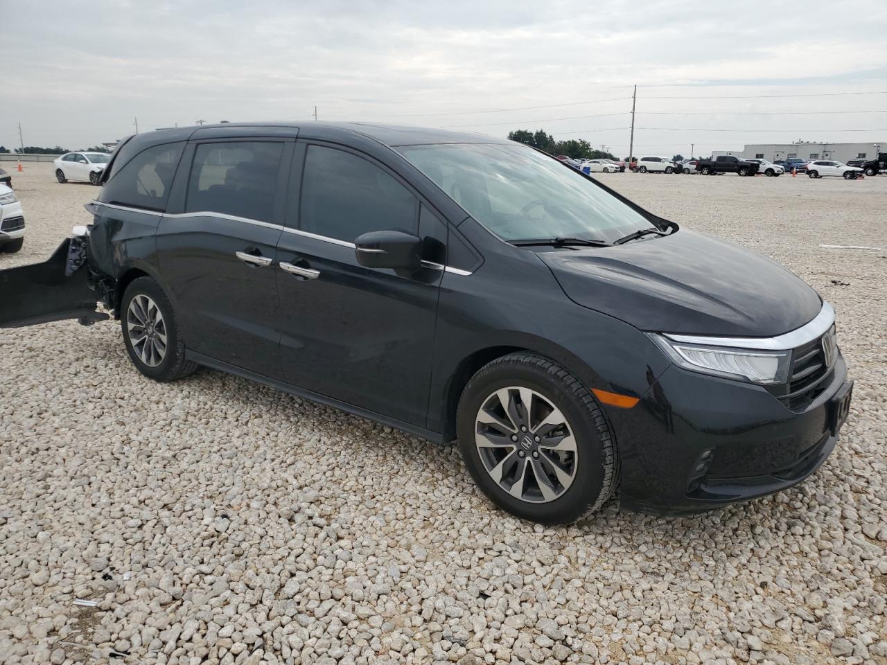 2023 HONDA ODYSSEY EXL VIN:5FNRL6H6XPB020066