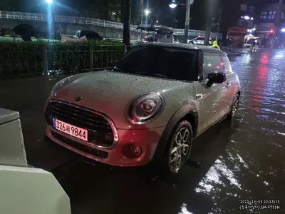 2021 MINI Cooper WMWXR7100M2N31251 VIN:WMWXR7100M2N31251