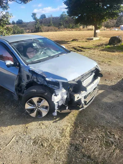 2017 Hyundai Ioniq KMHC051HFJU020754 VIN:KMHC051HFJU020754