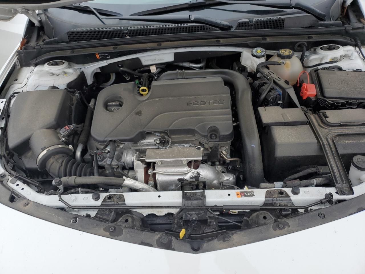 2023 CHEVROLET MALIBU LS VIN:1G1ZC5ST4PF125862