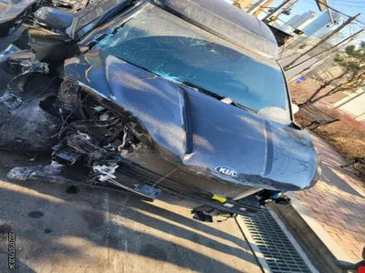 2021 Kia Carnival KNANE813BMS089557 VIN:KNANE813BMS089557