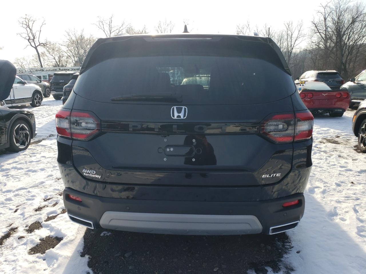 2024 HONDA PILOT ELITE VIN:5FNYG1H84RB006123