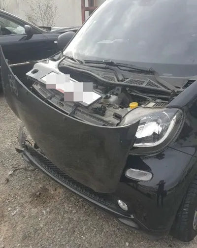 2017 Mercedes-Benz Smart KL90F3A7GHZ31M007 VIN:KL90F3A7GHZ31M007