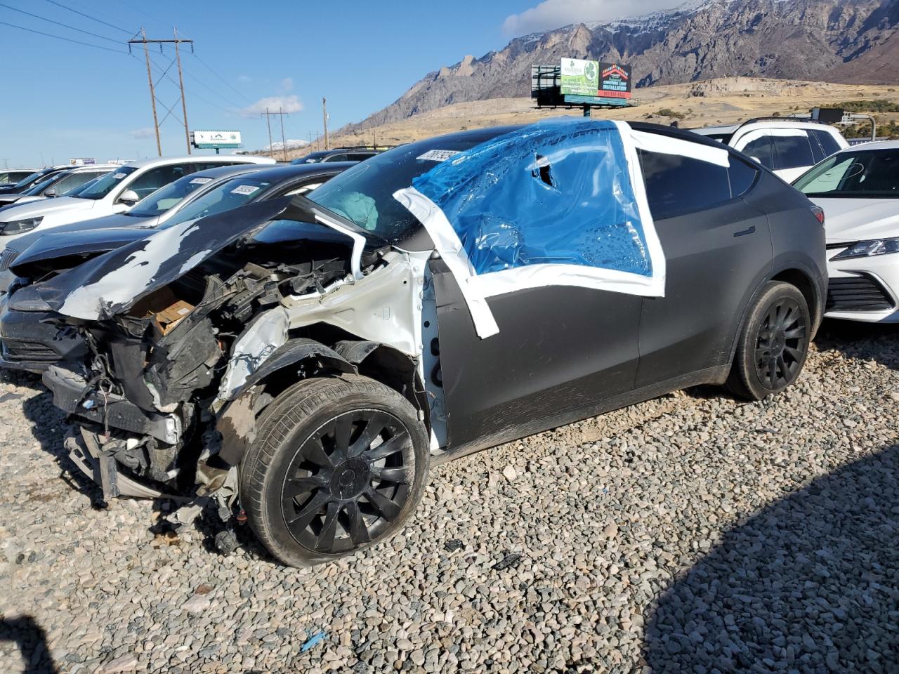 2023 TESLA MODEL Y  VIN:7SAYGDEE9PF631306