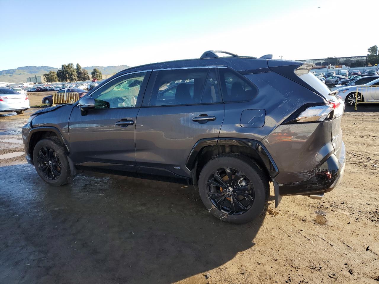 2024 TOYOTA RAV4 SE VIN:JTM16RFV2RJ061299
