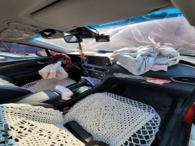 2019 Hyundai Santa FE KMHS281BBKU182582 VIN:KMHS281BBKU182582