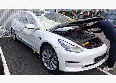 2020 Tesla Model 3 5YJ3E1EB8LF731411 VIN:5YJ3E1EB8LF731411