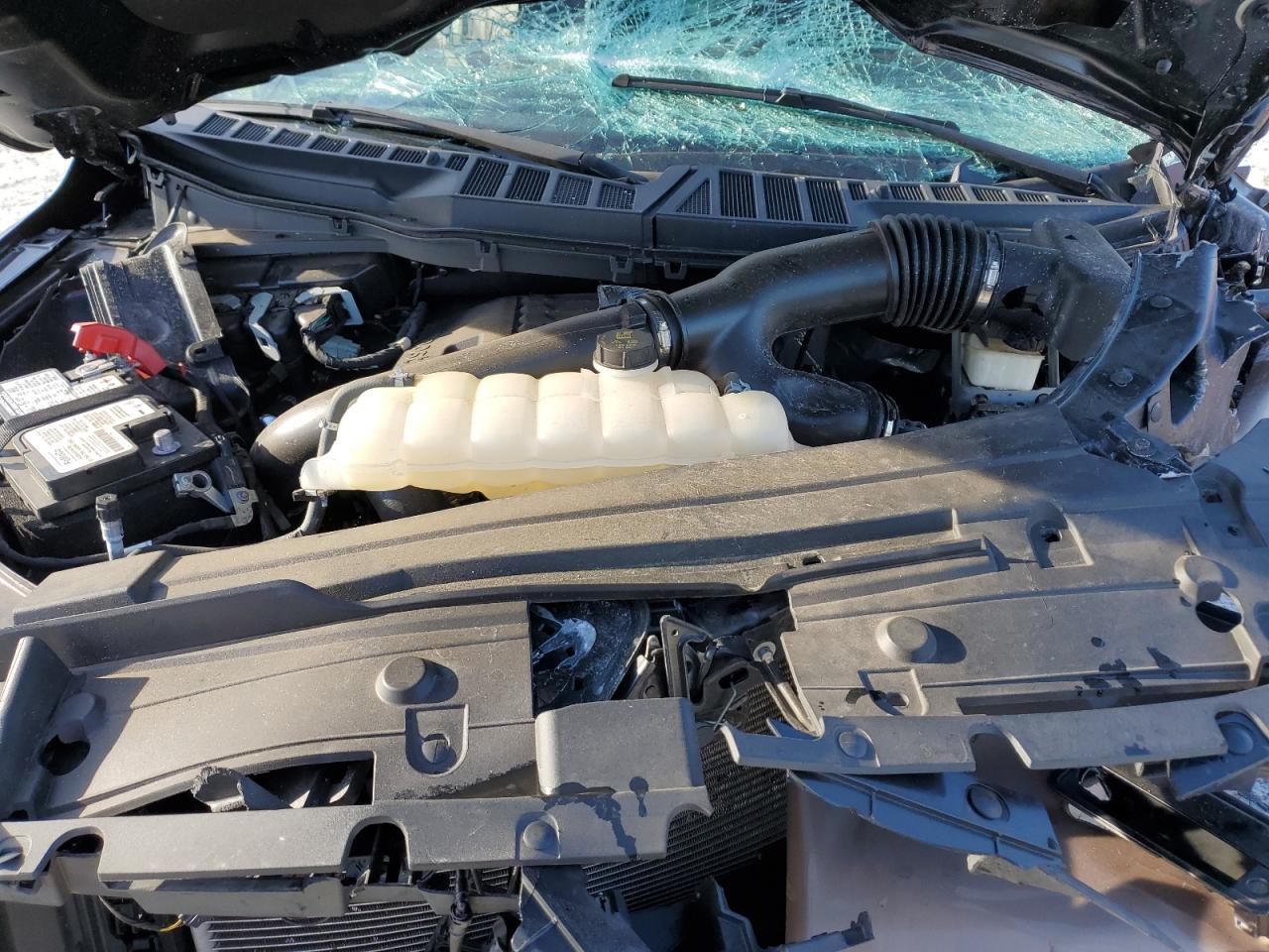 2022 FORD F150 SUPERCREW VIN:1FTFW1E8XNFA40328