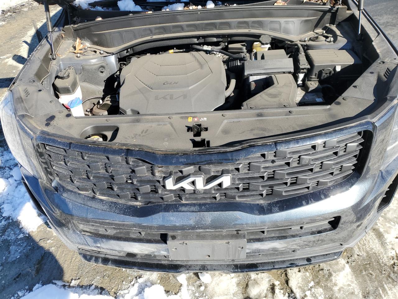 2022 KIA TELLURIDE SX VIN:5XYP5DHCXNG275396