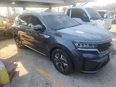 2021 Kia Sorento KNARH81GBMA057653 VIN:KNARH81GBMA057653