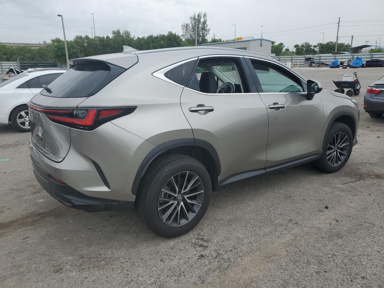 2024 LEXUS NX 250 BASE VIN:2T2ADCAZ0RC007388