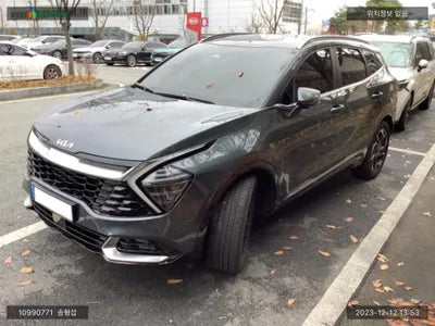 2022 Kia Sportage KNAPW81CBNK064176 VIN:KNAPW81CBNK064176
