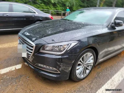 2016 acupuncture nessis 3.3 VIN: