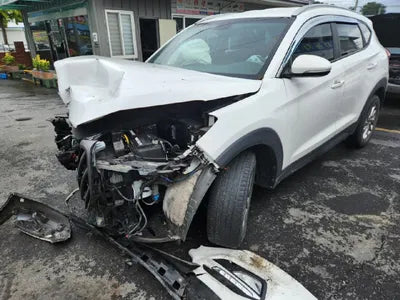 2016 Hyundai Tucson KMHJ381ABGU156319 VIN:KMHJ381ABGU156319