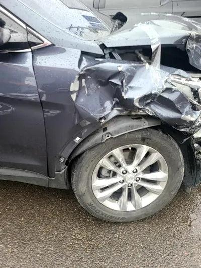 2016 Hyundai Santa FE 489KMKMHSW81UBGU5 VIN:489KMKMHSW81UBGU5