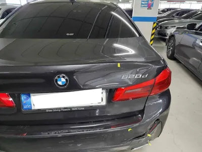 2020 BMW 520 WBAJF3108LWW87360 VIN:WBAJF3108LWW87360