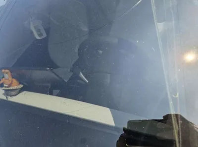 2022 Tesla Model 3 VIN: