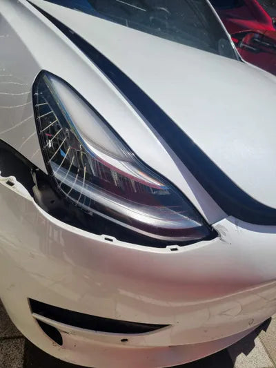 2019 Tesla Model 3 5YJ3E1EA4LF585502 VIN:5YJ3E1EA4LF585502