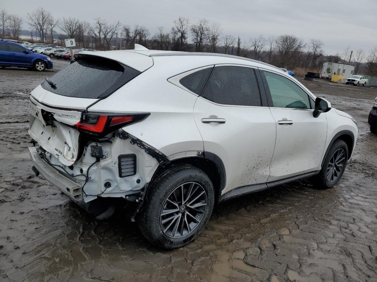 2022 LEXUS NX 350 VIN:2T2GGCEZXNC002950