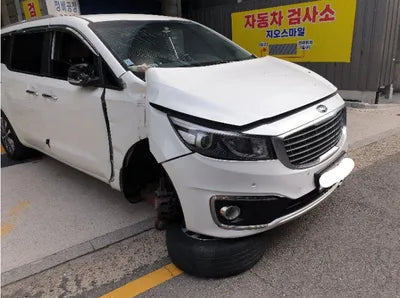 2016 Kia Carnival KNAMB81ABGS161928 VIN:KNAMB81ABGS161928