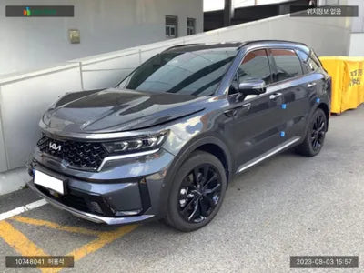 2023 Kia Sorento KNARL81FGPA216084 VIN:KNARL81FGPA216084