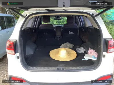 2017 Kia Sorento KNAPH81ADHA343770 VIN:KNAPH81ADHA343770